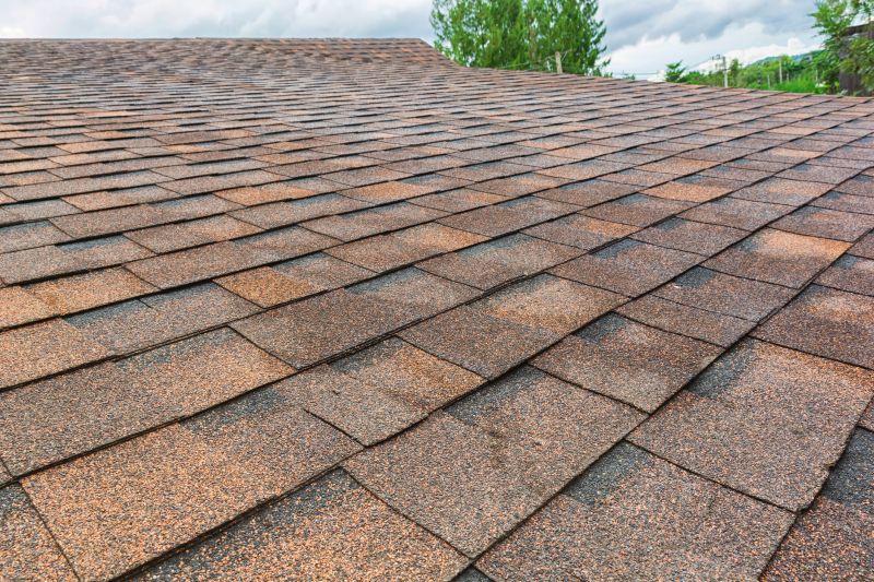 Asphalt Shingles Repair